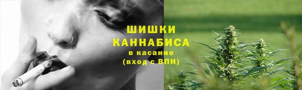 Альфа ПВП Дмитриев