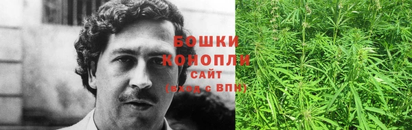 Альфа ПВП Дмитриев